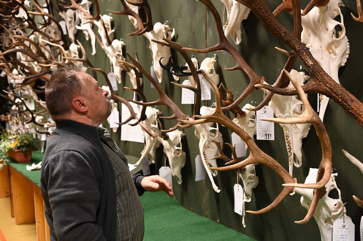 Die Ausstellung wird von vielen Interessierten besucht.