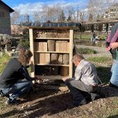 So baut man Wildbienen & Co. ein Zuhause