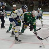Die Wälder stehen im Viertelfinal-Play-off