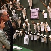 „Zurück zur Jagd mit Hausverstand“