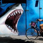 Bilder des Tages