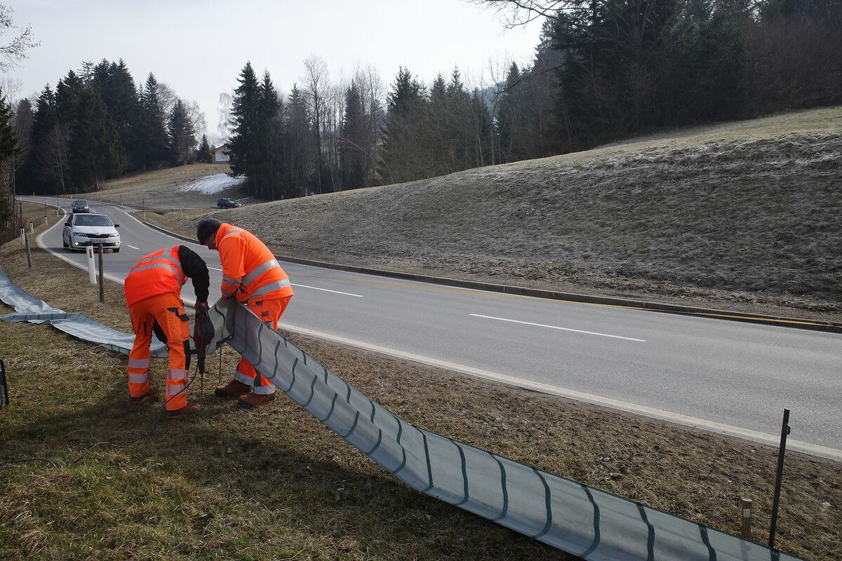 Entlang von Straßen werden mobile Amphibienzäune aufgestellt, um die Situation zu entschärfen.⇒VLK/UMG