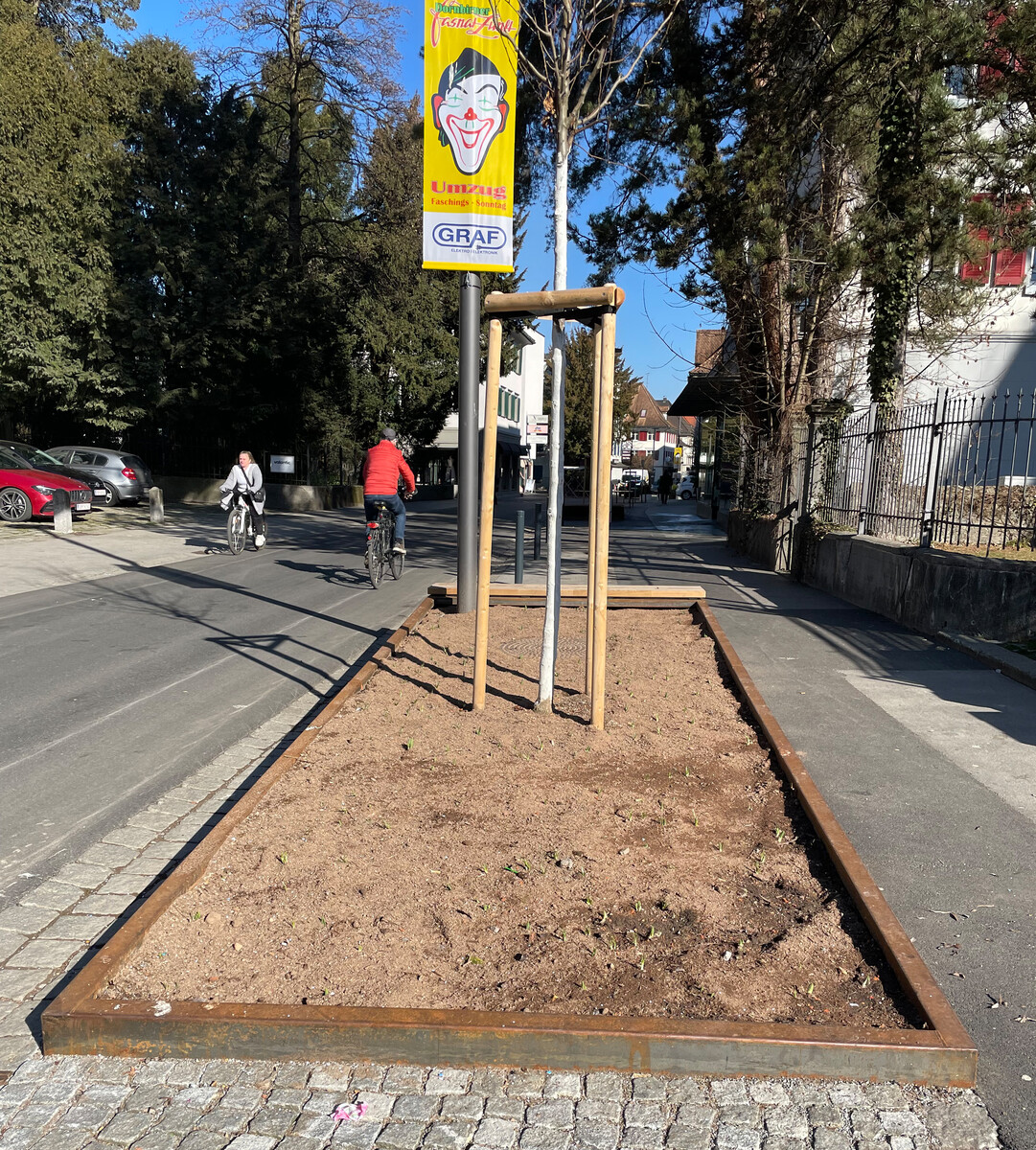 Im Frühjahr sollen ausgesäte Blumen die Straße weiter aufwerten.