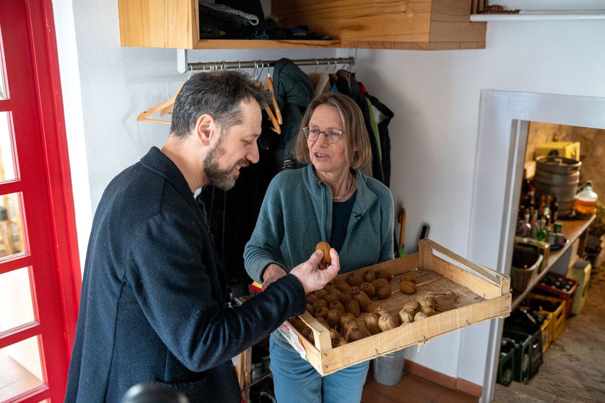 In Juliane Altons Garten wachsen Kiwis, die sie nachher in ihrem Keller lagert. Sie bewohnt ein altes Haus mit viel Geschichte. Es ist das Rote Haus im Hatlerdorf, hier wohnte einst Reinhold Luger. Das ist jener Designer, der unter anderem für das prägnante Dornbirn-Rot (Stadtbusse etc.) verantwortlich ist.