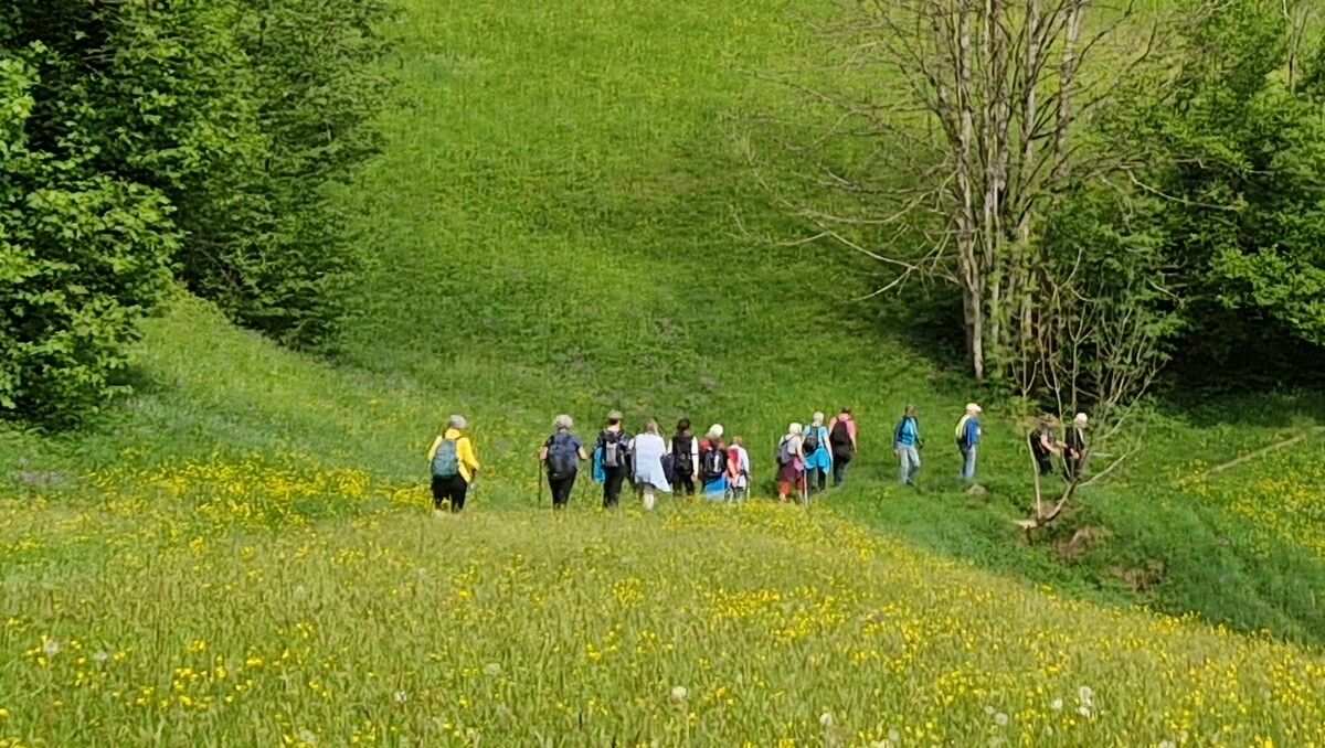 Mit LE.NA kann man gemeinsam die Landschaft genießen. Die neuen Termine für die Frühlingswanderungen stehen fest.