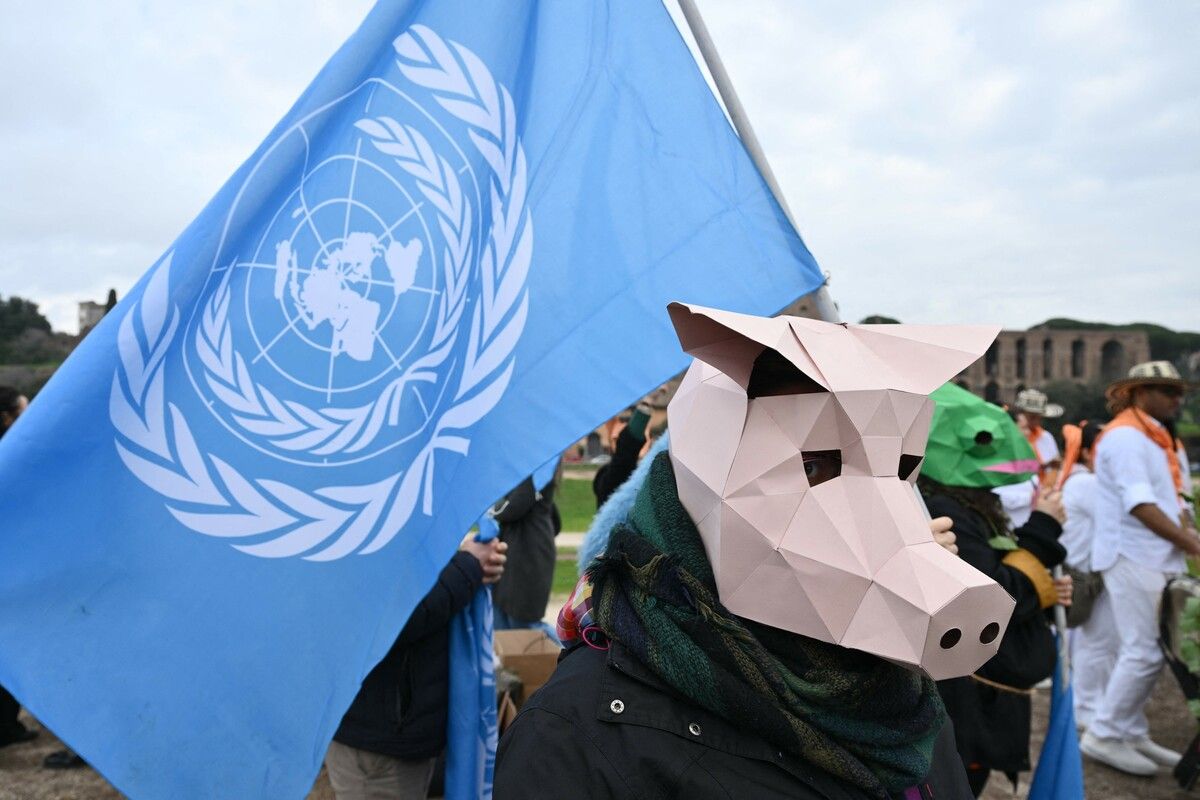 Nach der Einigung gab es seltenes Lob von Umweltschützern.⇒AFP
