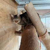 Medo freut sich auf neue Abenteuer