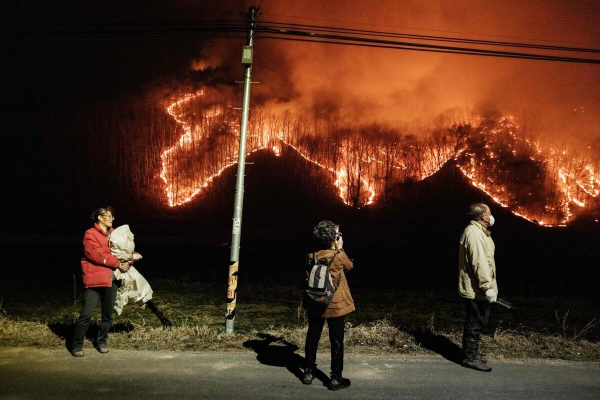Seit Tagen wüten verheerende Waldbrände im Südosten von Südkorea. Tausende Feuerwehrleute und Soldaten kämpfen gegen die Flammen. afp