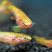 Mit der „AQUA-FISCH 2025“ in die Anglersaison starten