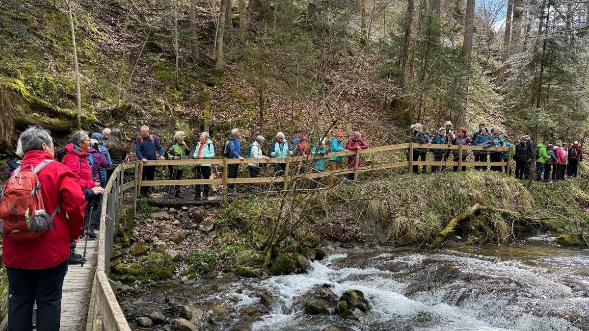 47 Lustenauer Senioren wanderten zu den Brühlbach-Wasserfällen – ein gelungener April-Ausflug. ⇒V 50plus Lustenau