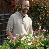 Im Frühling treiben es die Gärtner richtig bunt