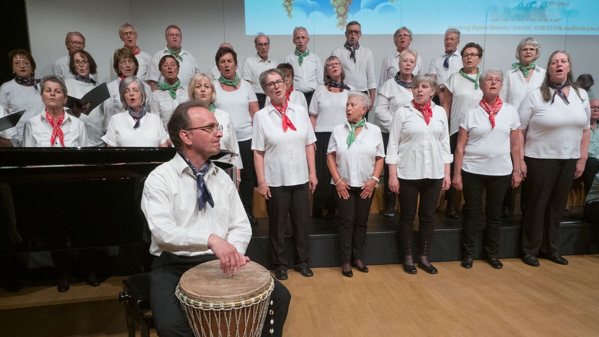 Der Gesangsverein Harmonie Götzis bei seinem letztjährigen Konzert.⇒alo