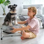 Wenn die Heizung das Wohnzimmer kühlt