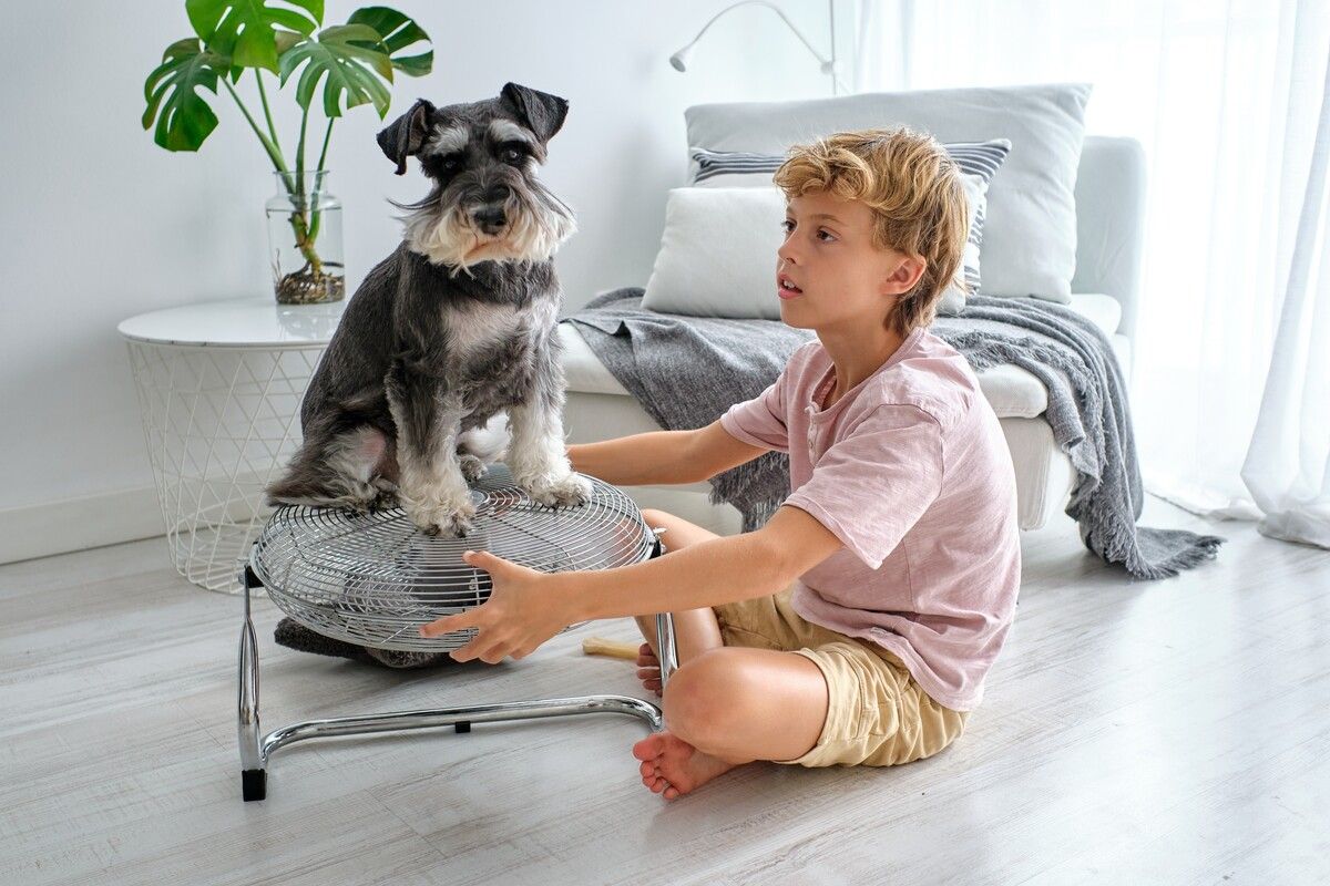 Design- und Vinyl-Böden sind im Sommer für nackte Füße ideal.⇒Shutterstock