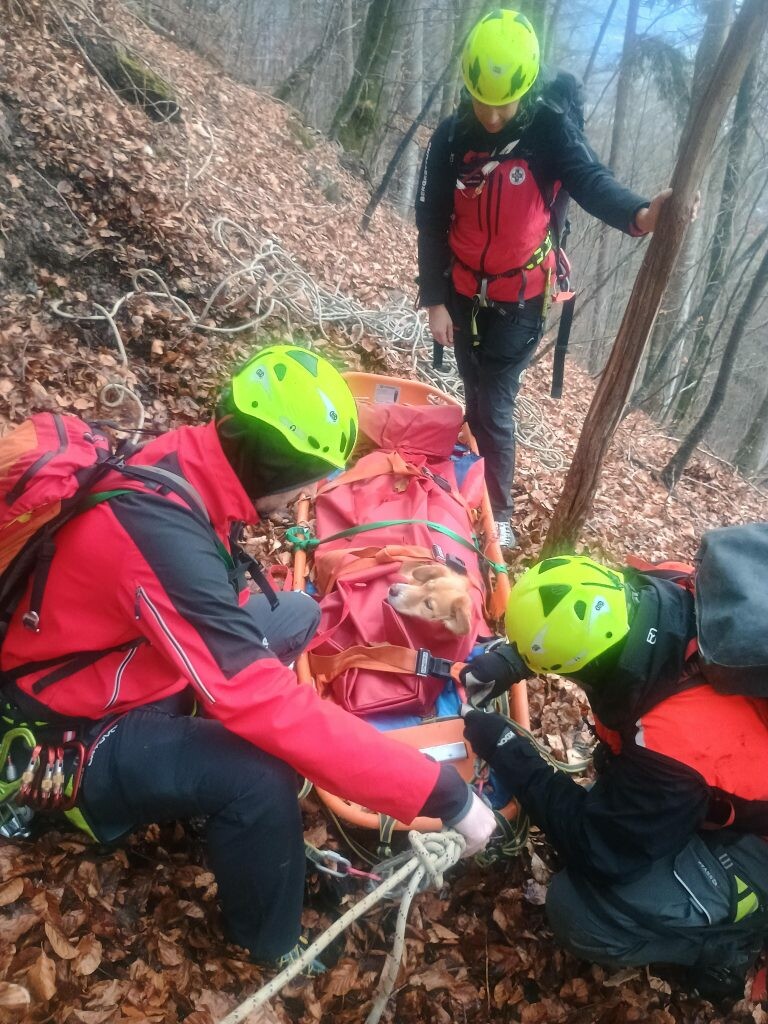 Die Bergrettung Rankweil barg den Hund.⇒bergrettung Rankweil