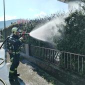 Feuer in der Thuja-Hecke