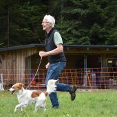 Hunde auf der Überholspur 