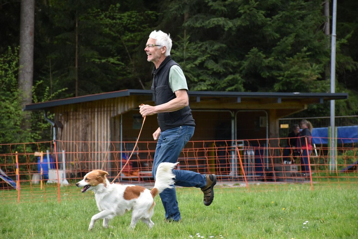 Die Hunde und ihre Herrchen wie Frauchen legten sich ins Zeug.