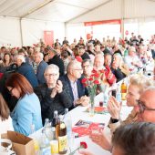 Maifeier der SPÖ am Hafen