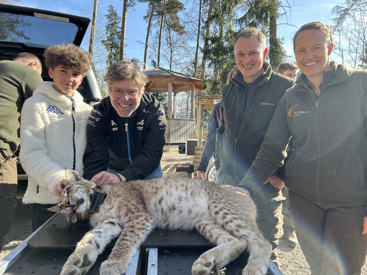 Die Paten von Luchskind „Scirocco“, Mika und Markus Herburger, mit Wildpark-Betriebsleiter Christian Ammann und seiner Stellvertreterin Birgit Wedl.⇒VN/Hartmann, Linher
