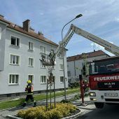 Zwei Kinder bei Wohnungsbrand in Niederösterreich gestorben