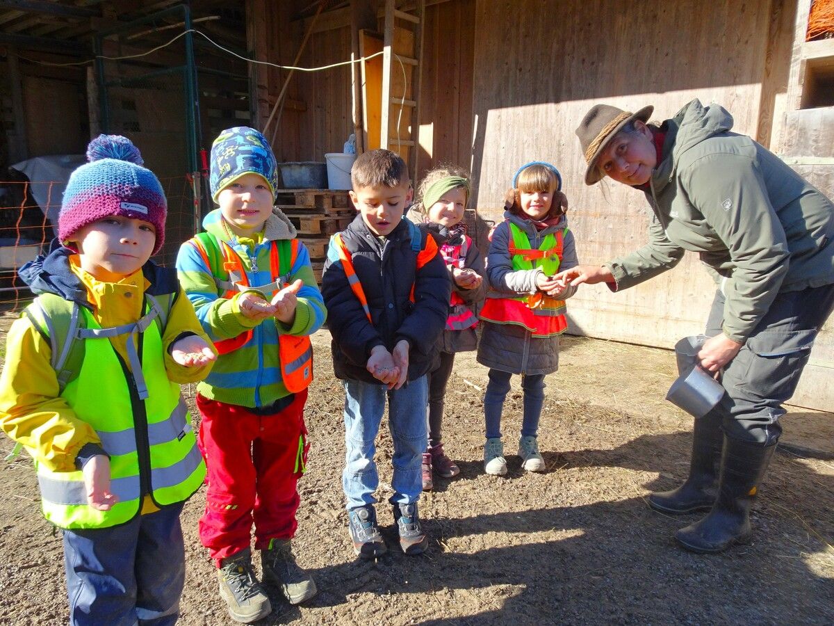 Die Watzenegger Kindergartenkinder hatten bei ihrem Hühnerabenteuer mit Elisabeth Feuerstein eine Menge Spaß. ⇒CTH