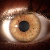 Augen auf beim Glaukom
