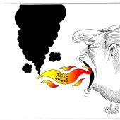 Der Feuerspeiende Drache!