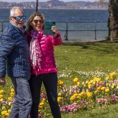 Frühlingserwachen in den Seeanlagen