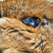 Gut versteckt