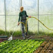 Landwirte und Hobbygärtner lechzen nach Regen. »A5