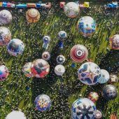 Bilder des Tages