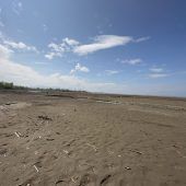 „Wattwandern“ am Bodensee