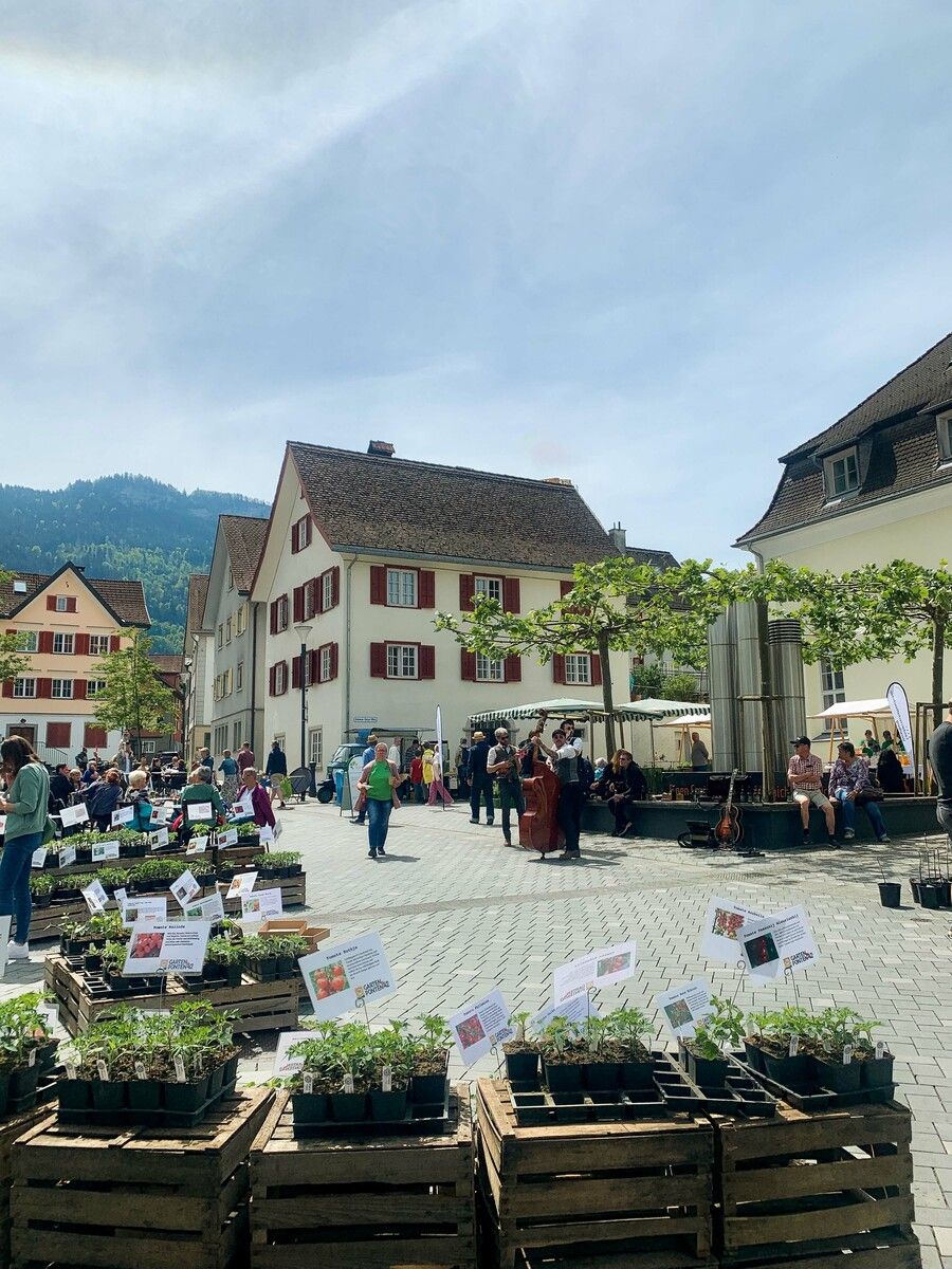 Jetzt treibt es die Hobbygärtner wieder an die Arbeit. Da kommt ein Jungpflanzenmarkt gerade recht.⇒stadt hohenems