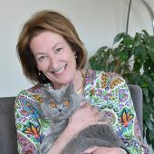 Der Besuch der fremden Katze