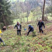 Ein Zukunftswald für Sibratsgfäll