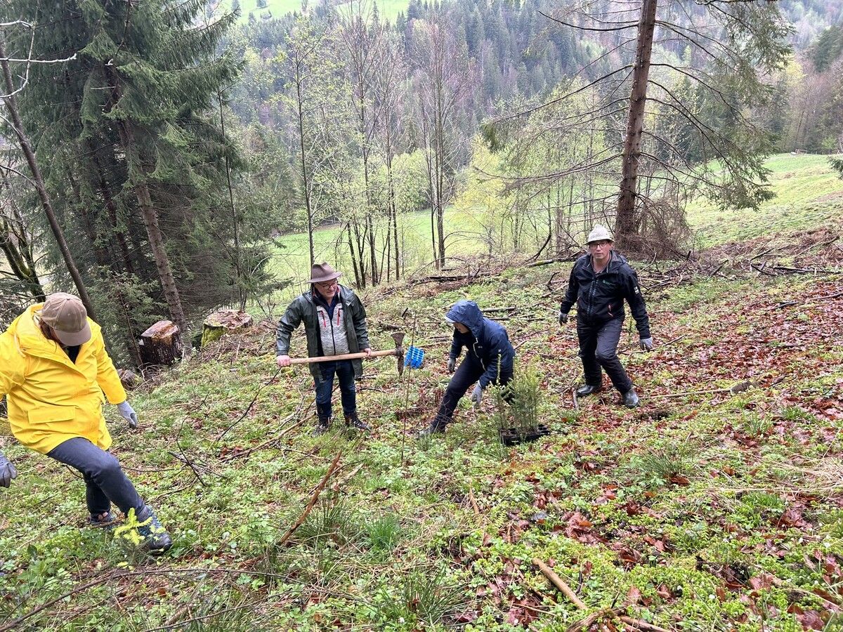 LK-Mitarbeiter und -Funktionäre im Einsatz auf der Alpe Krähenberg. ⇒LKV