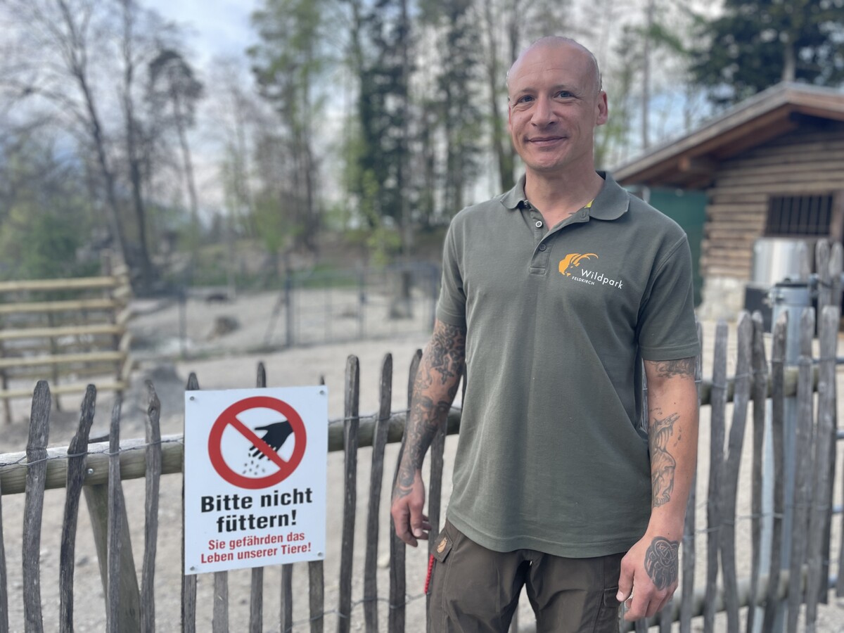 Tierpfleger Andreas Fink weiß über die Gefahren Bescheid, die damit einhergehen, wenn sich nicht an die Regeln gehalten wird.