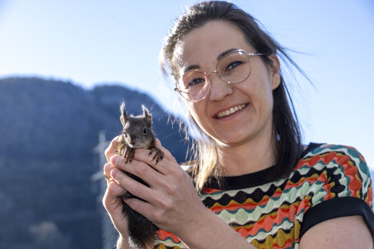 Wildtierhilfe-Obfrau Katharina Feurstein hat heuer so viele Eichhörnchen wieder aufgepäppelt wie noch nie. ⇒VN/Paulitsch