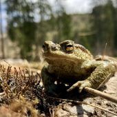 „Drastische Verluste für uns Menschen“