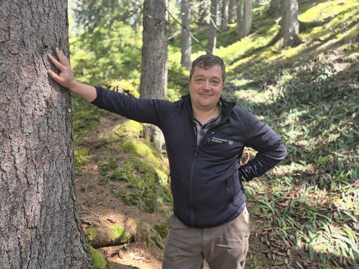 Andreas Drexel ist Forstbetriebsleiter im Montafon und erklärt, warum es wichtig ist, einen Wald zu bewirtschaften. ⇒VN/JUN(3
