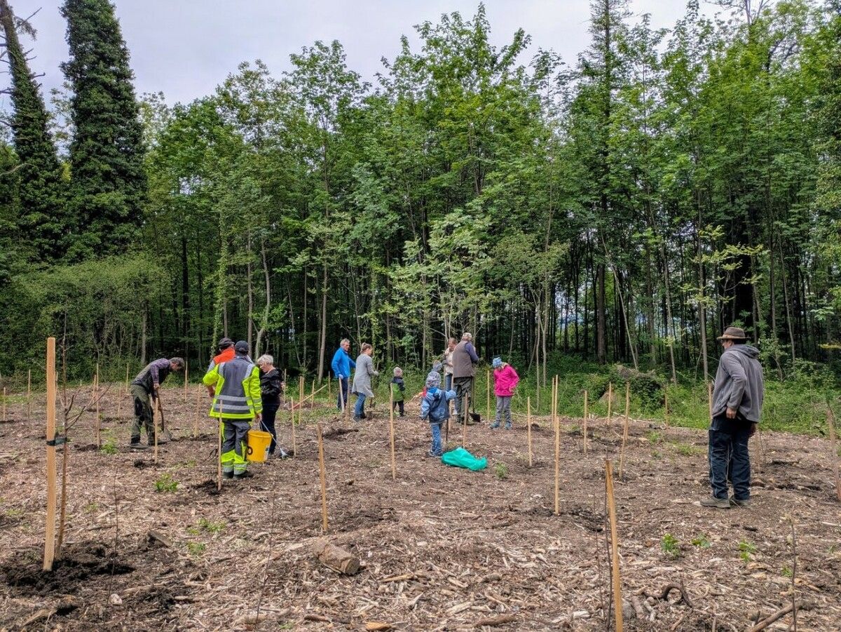 Bäume und Sträucher wurden in Sulz gepflanzt.⇒vn/tk