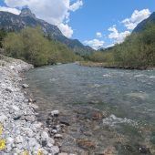 Wildes Wasser, lebendige Vielfalt