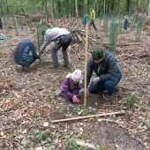 Väter und Kinder beleben gemeinsam den Wald neu