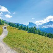 Hoch über Brixen auf der Plose