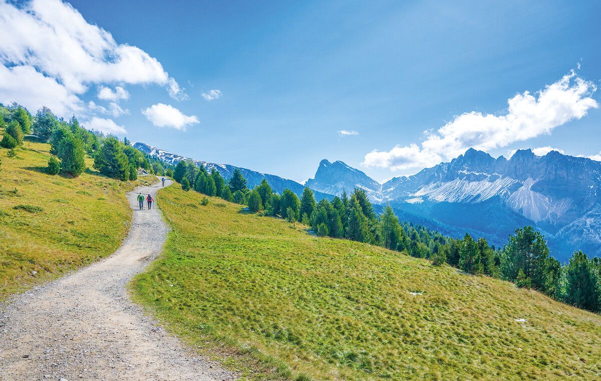 Die Plose bietet aussichtsreiche Wege mit Blick auf die Südtiroler Bergwelt.⇒Shutterstock