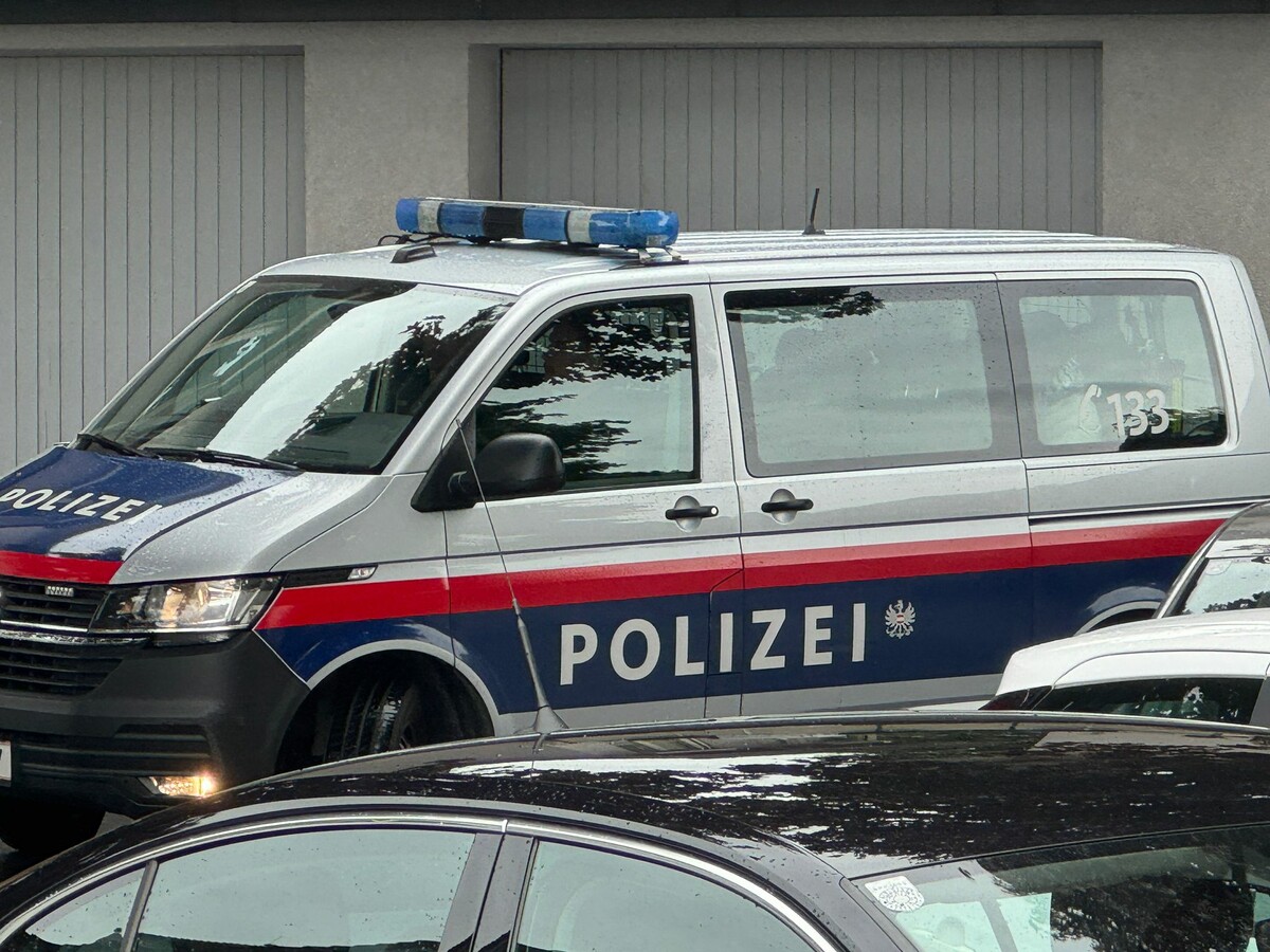 Die Polizei bittet um Hinweise aus der Bevölkerung. ⇒Symbolbild/VDS