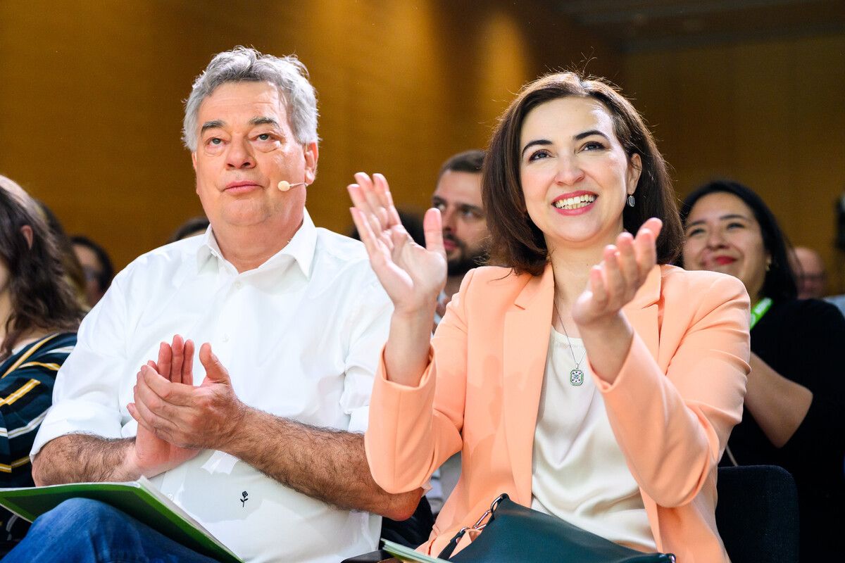 Die Social-Media-Accounts von Ex-Vizekanzler Werner Kogler und Ex-Justizministerin Alma Zadic bringen den Grünen nun saftige Strafzahlungen.⇒APA