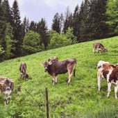 „Erwarten größten Temperaturanstieg“