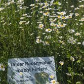 Rasenmäher macht Ferien